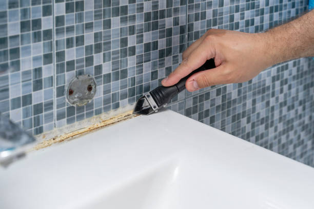 Best Office Mold Removal Services  in Shelton, NE