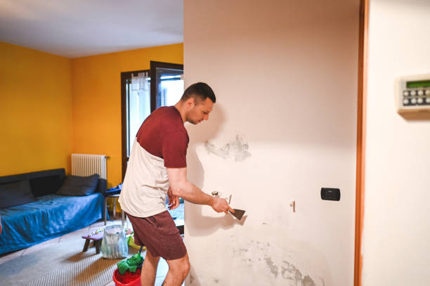 Best Mold Remediation  in Shelton, NE